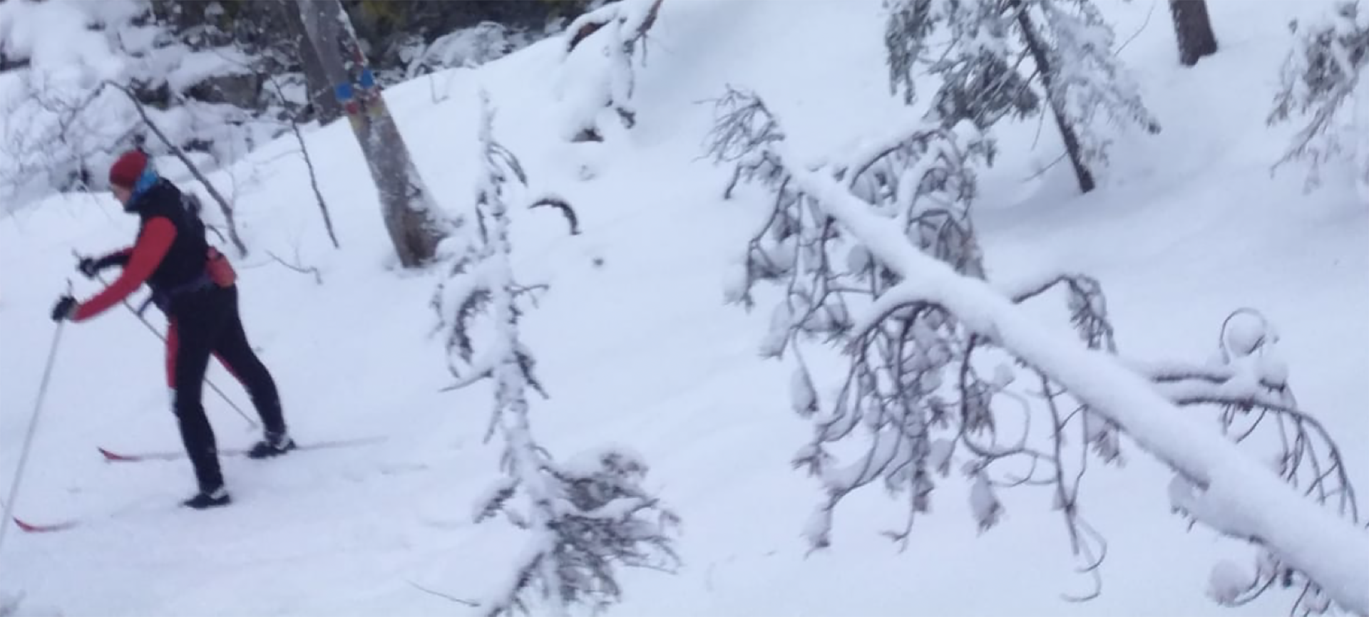 Anu Gretschel hiihtää lumisessa maisemassa.